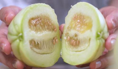 洛阳吃瓜亭,探寻古都美食文化的休闲驿站