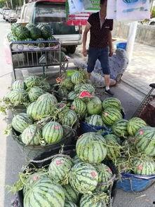 丰县最新吃瓜事件,揭秘背后真相与争议