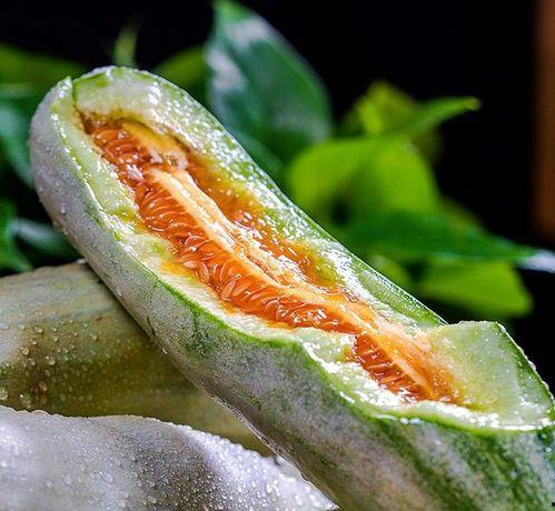 甜糖吃瓜,探寻甜糖吃瓜的独特魅力