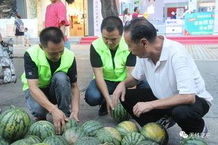 巴太吃瓜,揭秘娱乐圈幕后风云