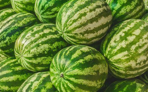 可以在哪吃瓜,吃瓜群众的秘密聚集地