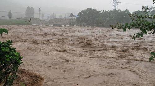 国外洪水吃瓜,国外民众上演“吃瓜”大戏