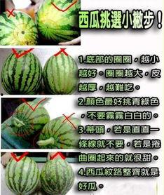 抖音吃的什么瓜,揭秘网红美食背后的“吃瓜”故事