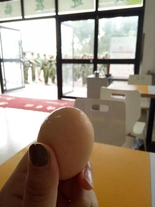 广职吃瓜,揭秘校园热点事件背后的真相