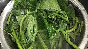 兰瓜叶怎么吃,探索绿色美食新境界