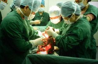 助产士吃瓜,见证生命奇迹的甜蜜瞬间