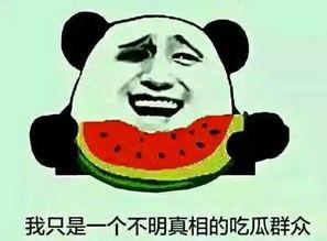 形容围观吃瓜,围观吃瓜的狂欢现场