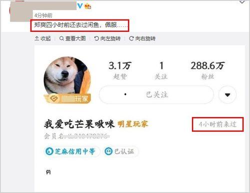 吃瓜明星账号,吃瓜明星账号背后的秘密与真相